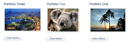 単一ポートフォリオ