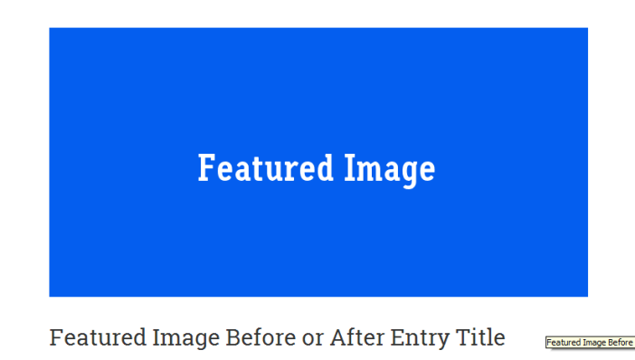 在单个标题之前发布图像