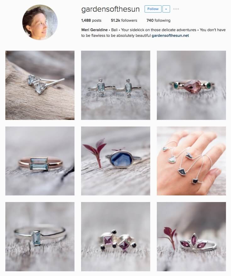 Gardensofthesun-cresciuto-di-19379-follower-instagram-in-tre-mesi-un-aumento-del-66-percento