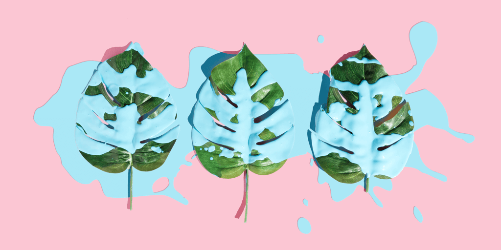 Instagram対現実：あなたの価値観をオンラインで生きる6つの方法