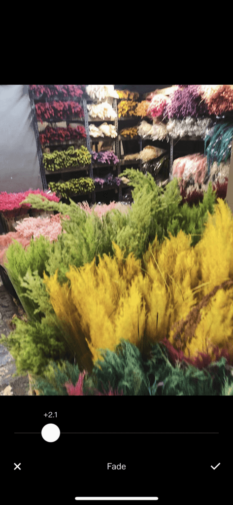 ปรับจางในแอปรูปภาพ VSCO unblur ด้วย iphone