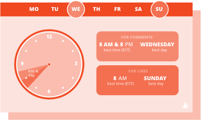 les niches de nourriture et de boissons doivent publier sur instagram à 8h00 et 20h00 le mercredi et 8h00 le dimanche