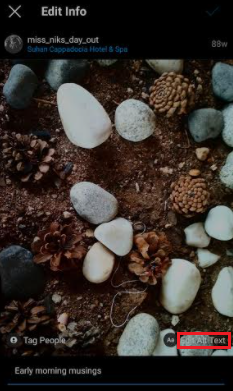 Une capture d'écran du bouton Write Alt Text dans le coin inférieur droit des publications Instagram existantes.