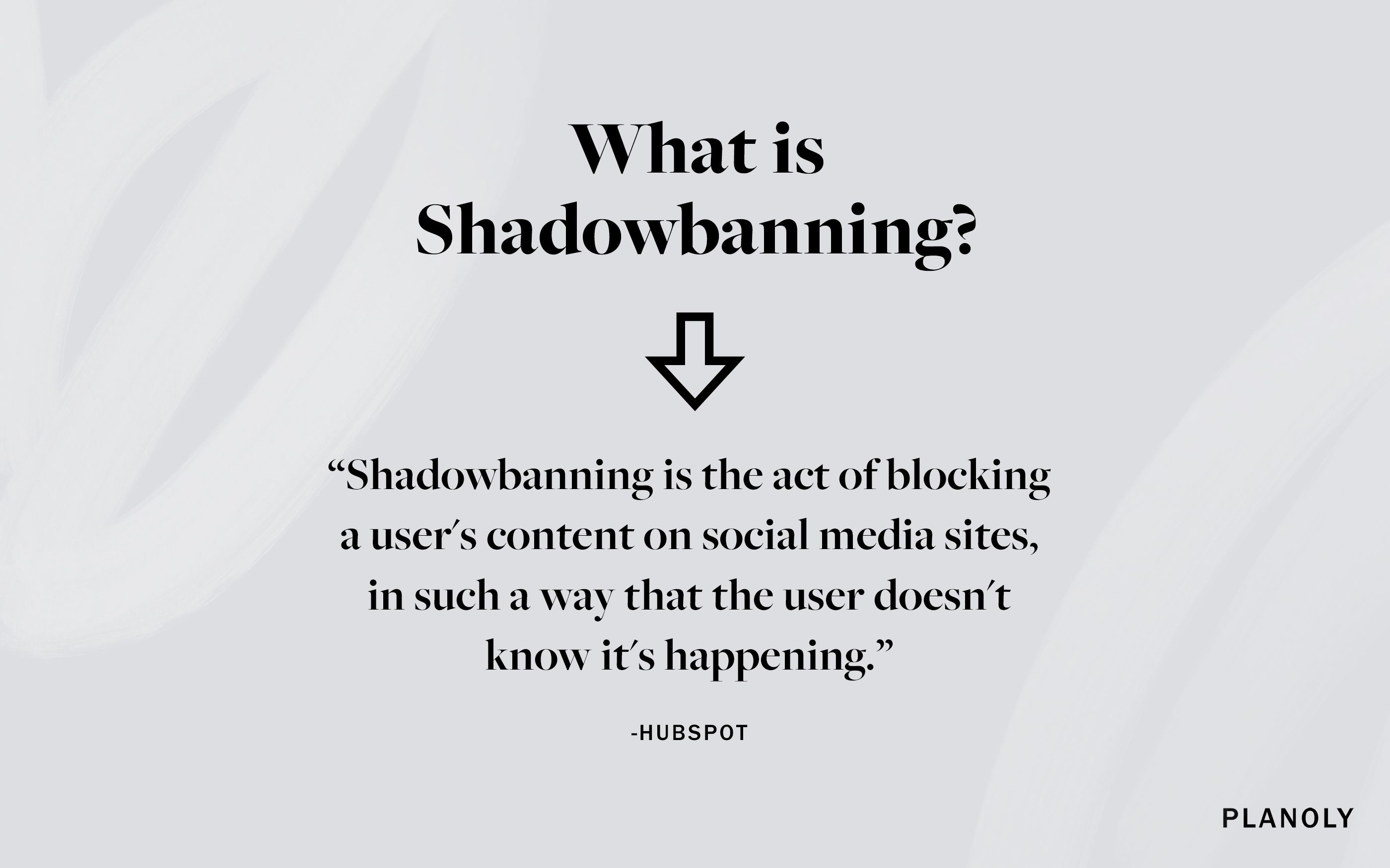 PLANOLY - Post sul blog - Cos'è lo Shadowbanning - Immagine 1