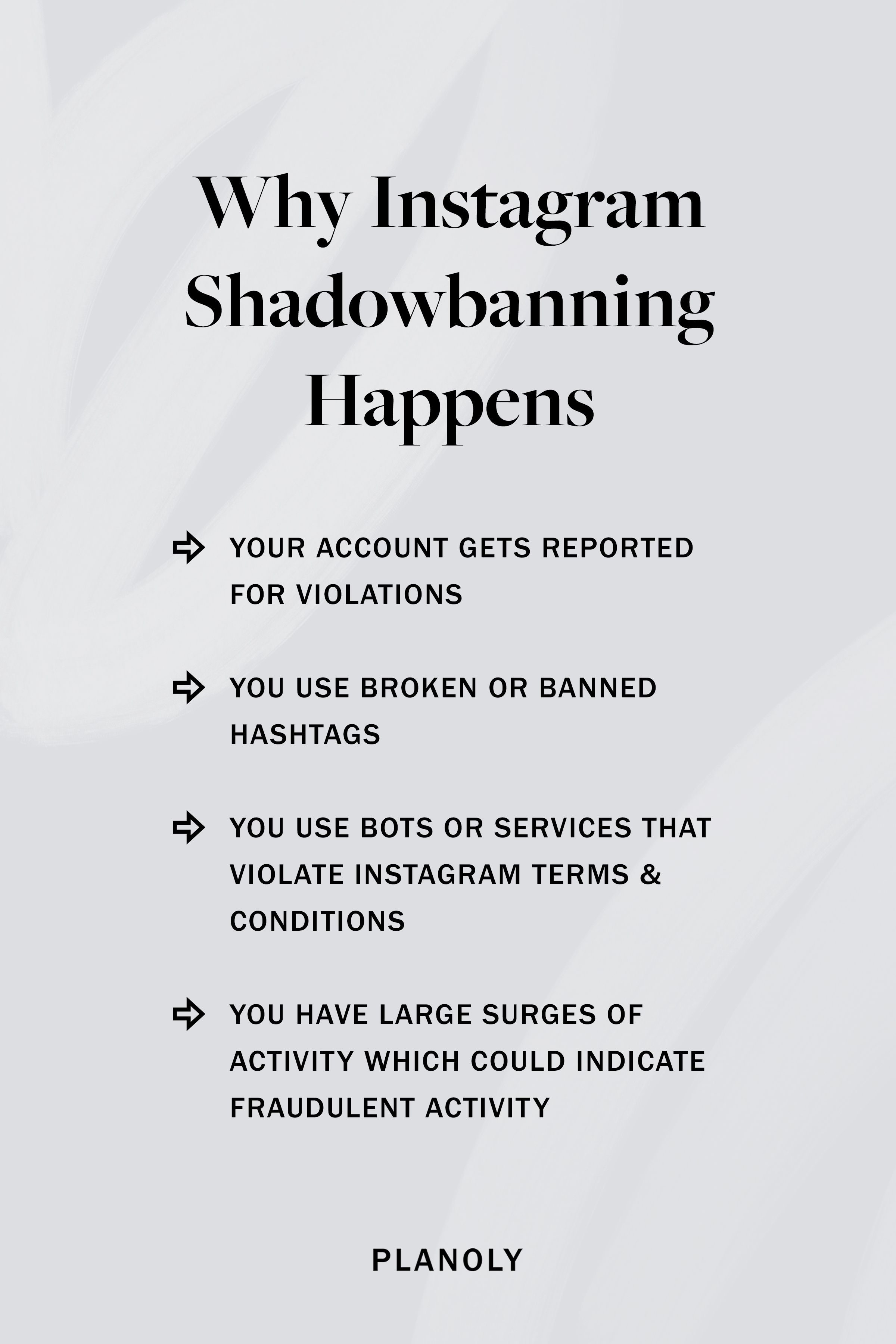 PLANOLY - Post sul blog - Cos'è lo Shadowbanning - Immagine 3