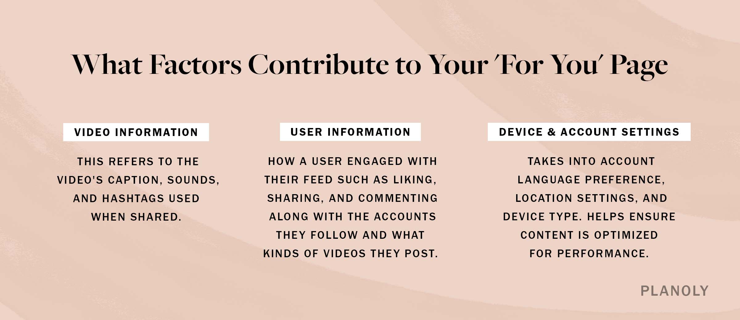 PLANOLY-Blog Post-Tik Tok Algorithm-Img 1