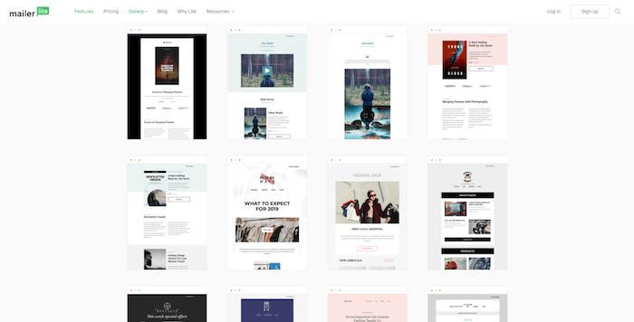 template email mailerlite