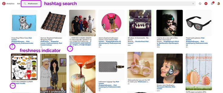 suche-pinterest-hashtags