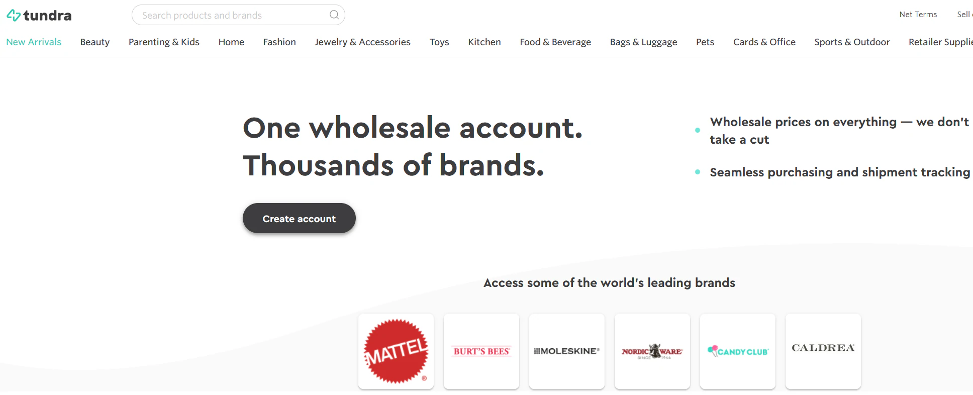 لقطة شاشة الصفحة الرئيسية للتندرا