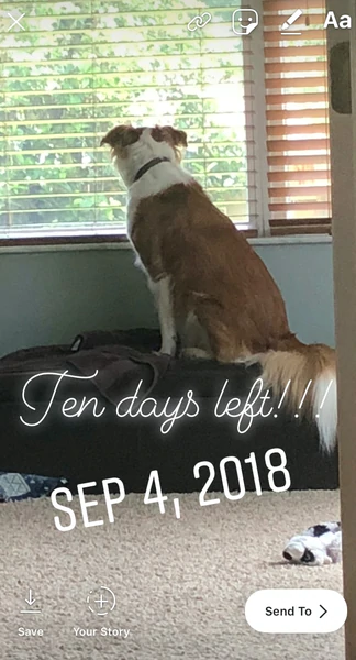 instagram tarih çıkartmaları