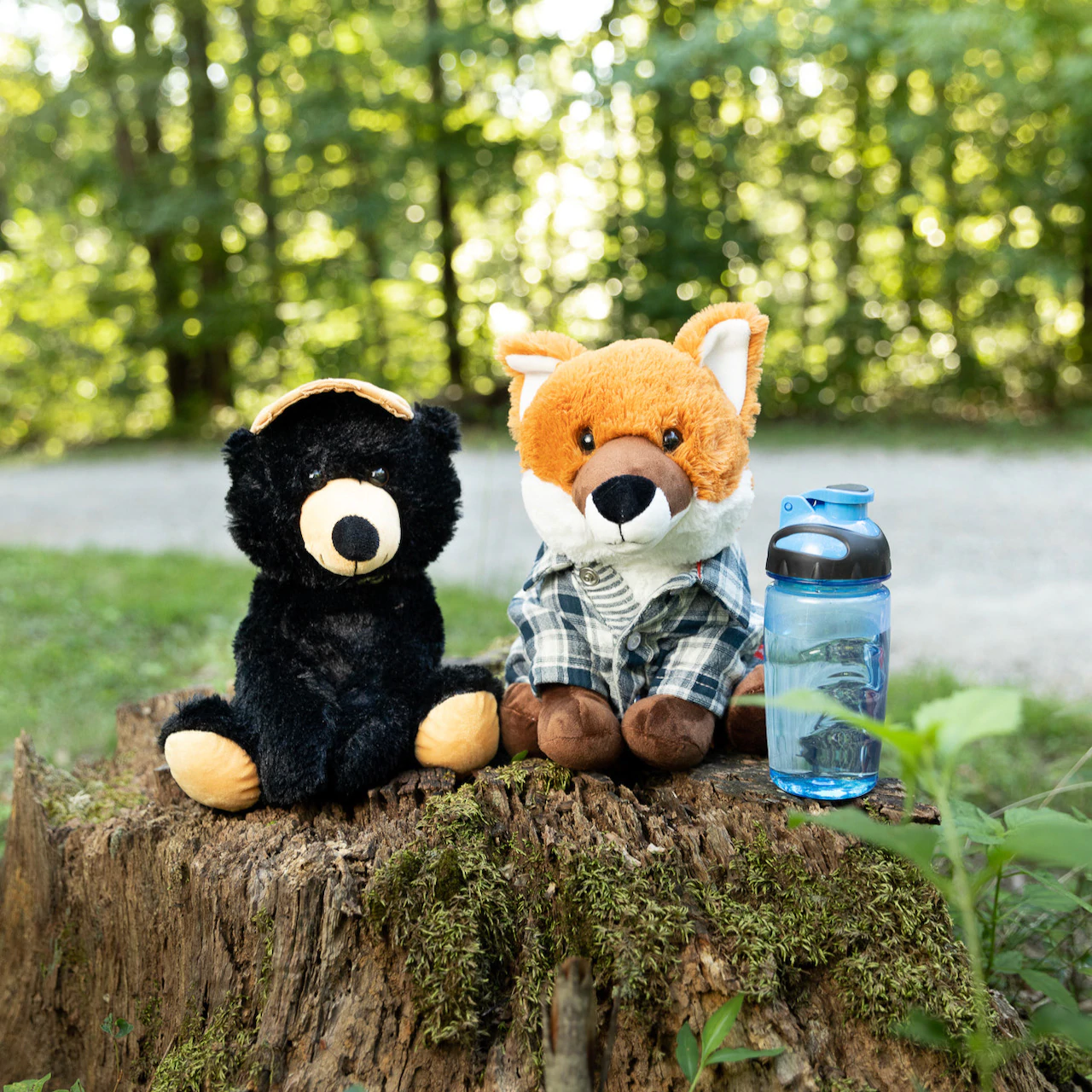 森を背景にしたSendAFriendのぬいぐるみ。