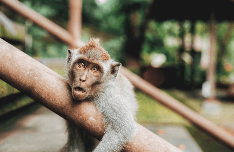 رسالة إلغاء الاشتراك