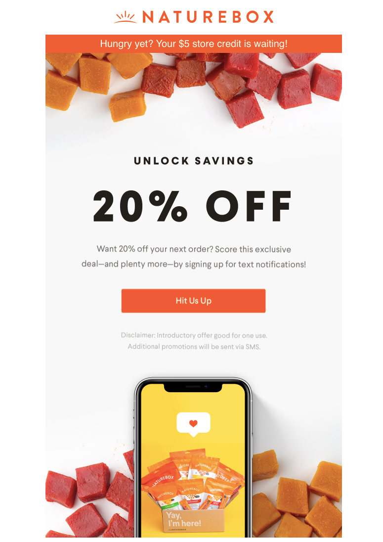 Поощрение подписчиков электронной почты подписаться на текстовые SMS-сообщения со скидкой