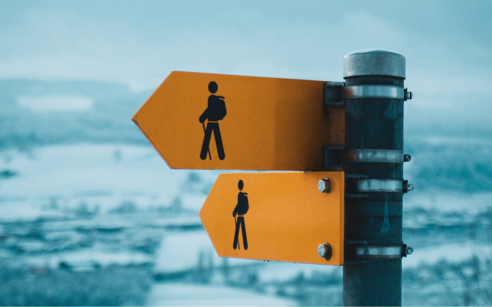 ¿Qué es el marketing de liderazgo intelectual?