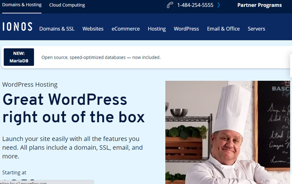 ไอออนอส Ionos