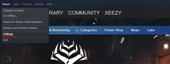 Opción de configuración de vapor Steam Settings Option