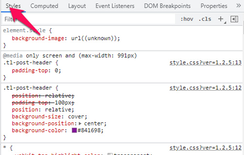 스타일 탭 Styles Tab