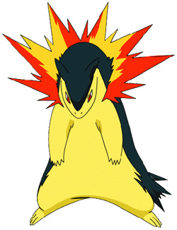 傷寒症 Typhlosion