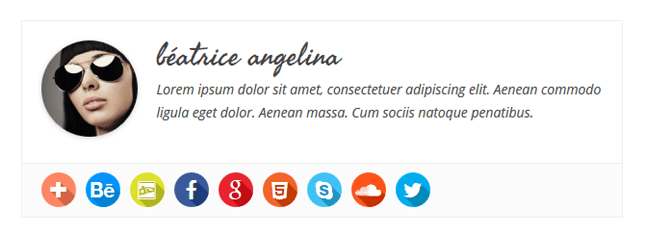 简单的作者框 WordPress 插件