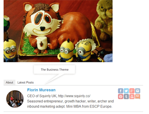 星盒 WordPress 插件