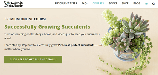 ตัวอย่างเพย์วอลล์