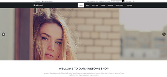 ビッグポイント