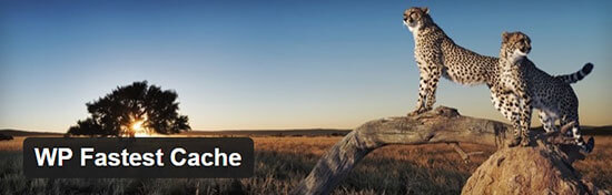 WP 最快的缓存