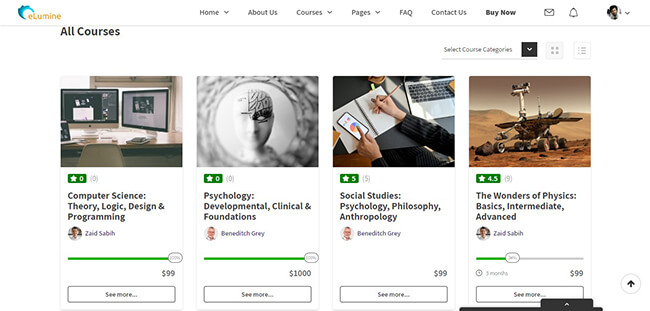 Demo motywu WordPress eLumine