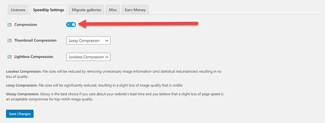 Настройки расширения SpeedUp
