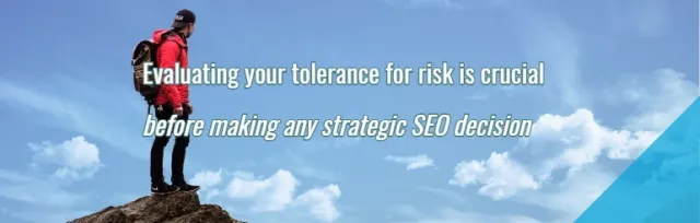 seo-risk