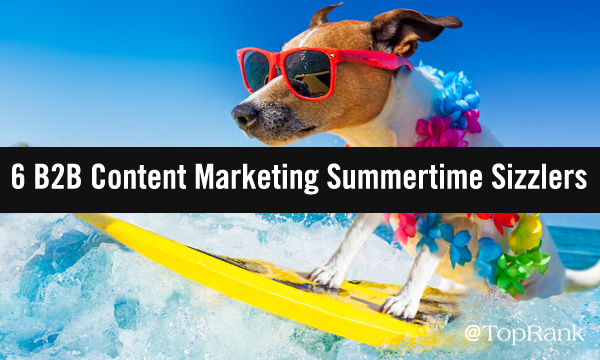 Hundesurfen im Sommer des B2B-Marketing-Bildes.