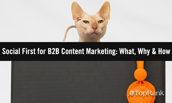 Haarlose Katze am Laptop-Bild