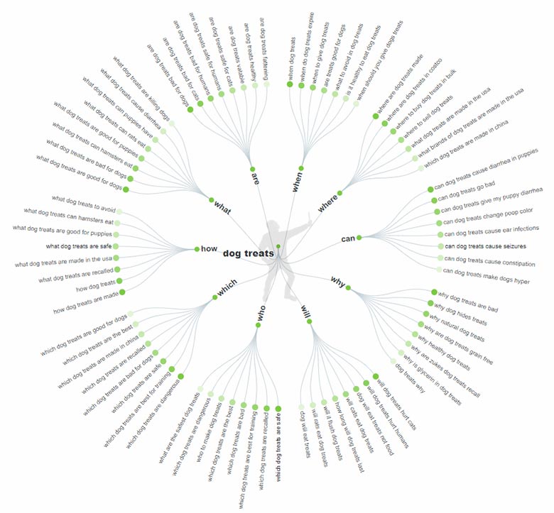 แผนที่เฉพาะ