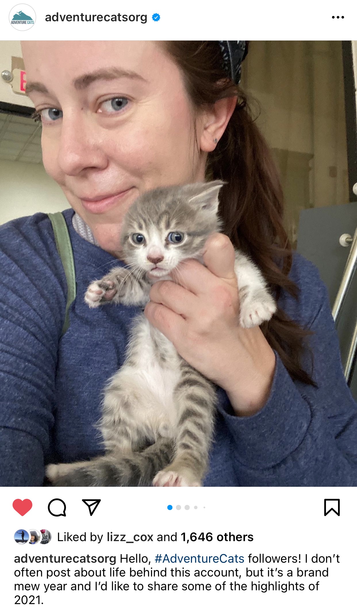 Laura Moss Aventura Gatos Instagram