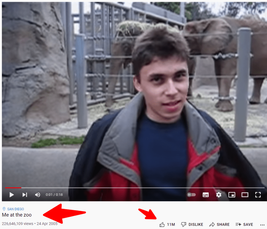 eu no zoo video
