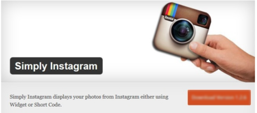 ببساطة Instagram- WordPress Instagram Plugins Simply Instagram- WordPress Instagram Plugins