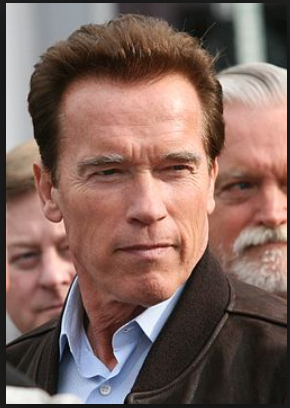 Arnold Schwanneger- Best Motivational Speakers