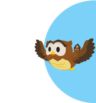 Penggemar kredensial Hootie dalam penerbangan dengan latar belakang biru