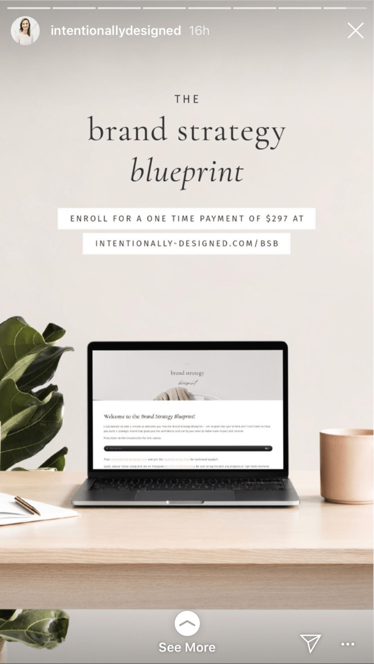 Kasıtlı Olarak Tasarlanmış'ın Instagram'ı, bir kampanya açılış sayfasına giden bağlantıları yukarı kaydırıyor