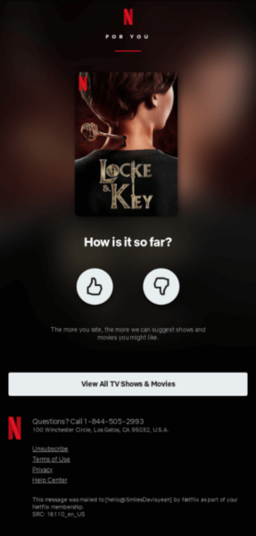 przykłady e-maili detalicznych — e-mail dotyczący zameldowania w serwisie Netflix