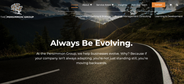 exemplu de site web al unui concurent