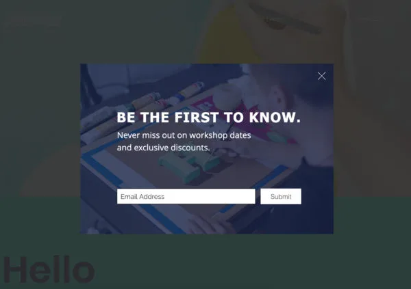 팝업 이메일 구독 양식을 사용하는 아티스트 웹사이트의 예 - 아티스트: James Lewis