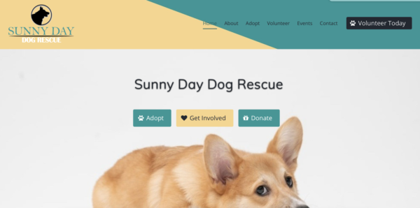 Riprogettare il sito web