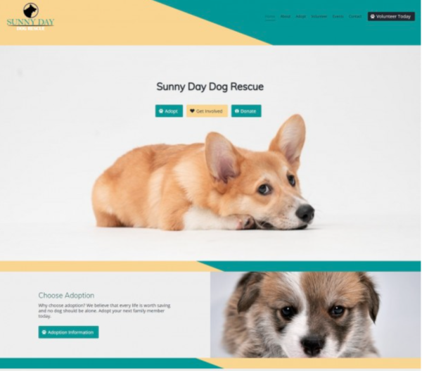 لقطة شاشة لصفحة رئيسية تستخدم مبادئ تصميم مواقع الويب الخاصة بالمساحة السلبية والبساطة