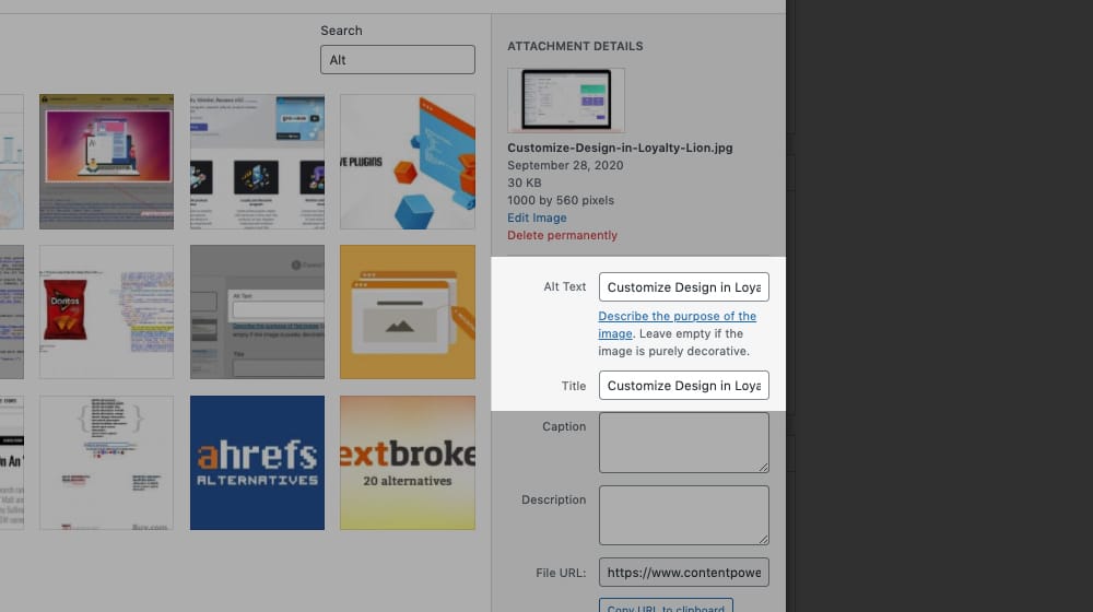 Alt ve Başlık Metni