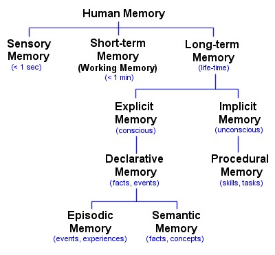 memory_types