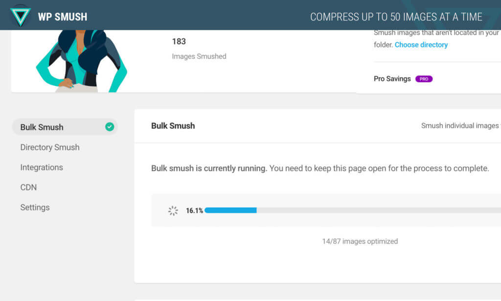 Zrzut ekranu WP Smush