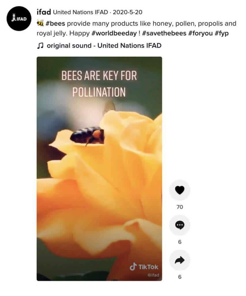 tangkapan layar video ifad tik tok persatuan bangsa