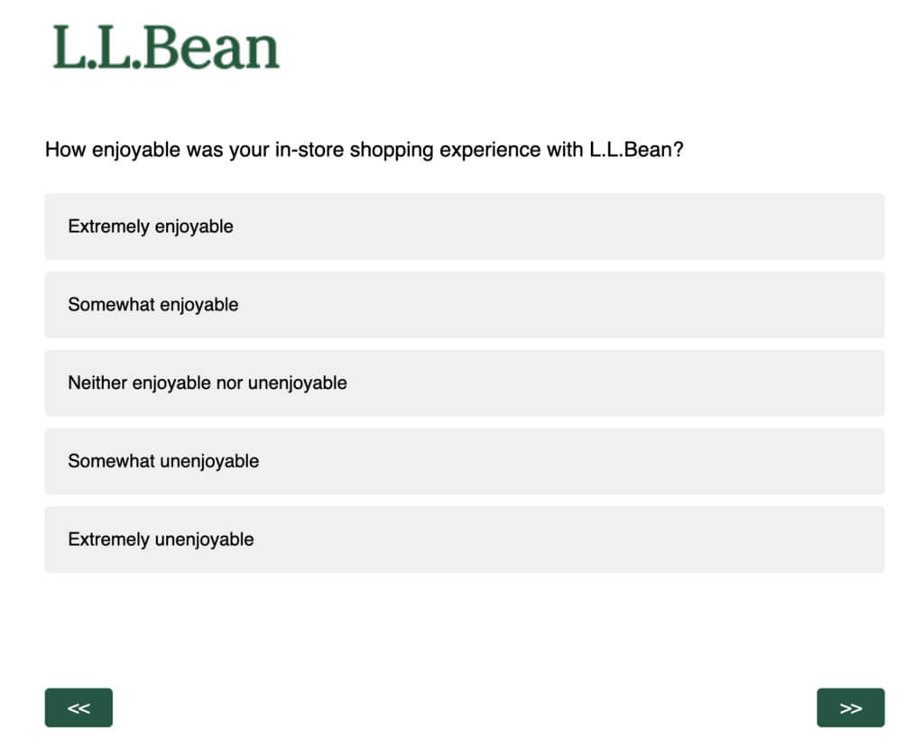 Qualitative Kundenbefragung von L.L. Bean