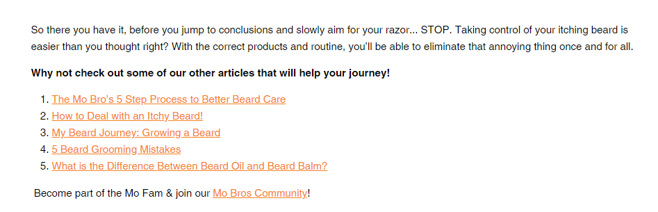 CTAs de postagem do blog do Mo Bro